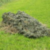Ghilli overtrek deken voor de laydownblind groen
