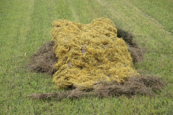 Ghilli overtrek deken voor laydown blind tarwe/stro