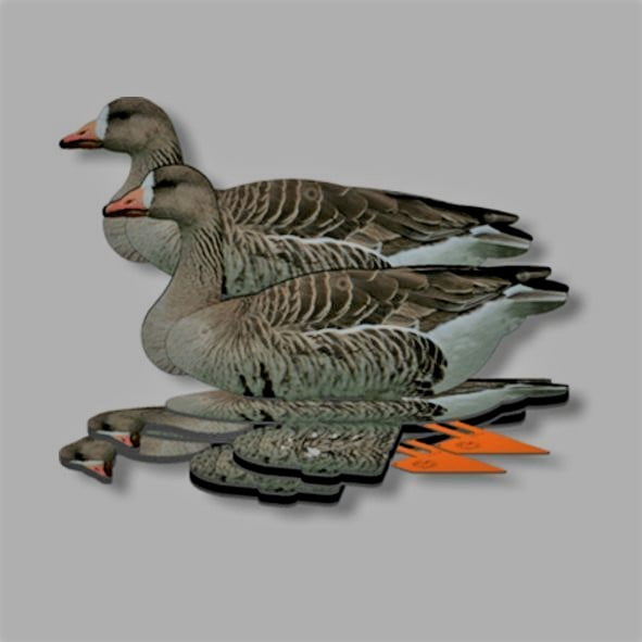 Fud kolgans - Afbeelding 6