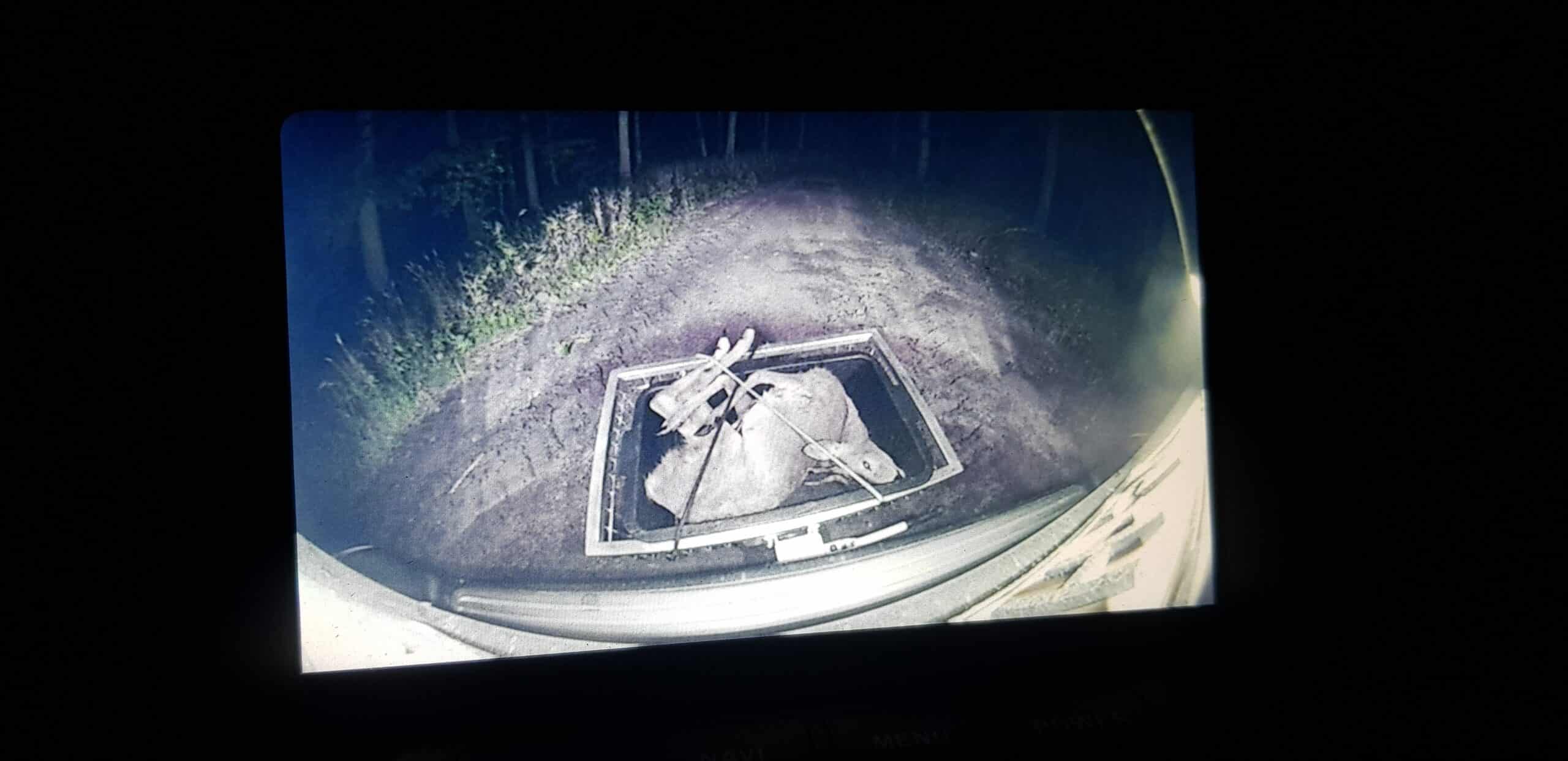 Verzinkte wilddrager met snelspan - Afbeelding 2