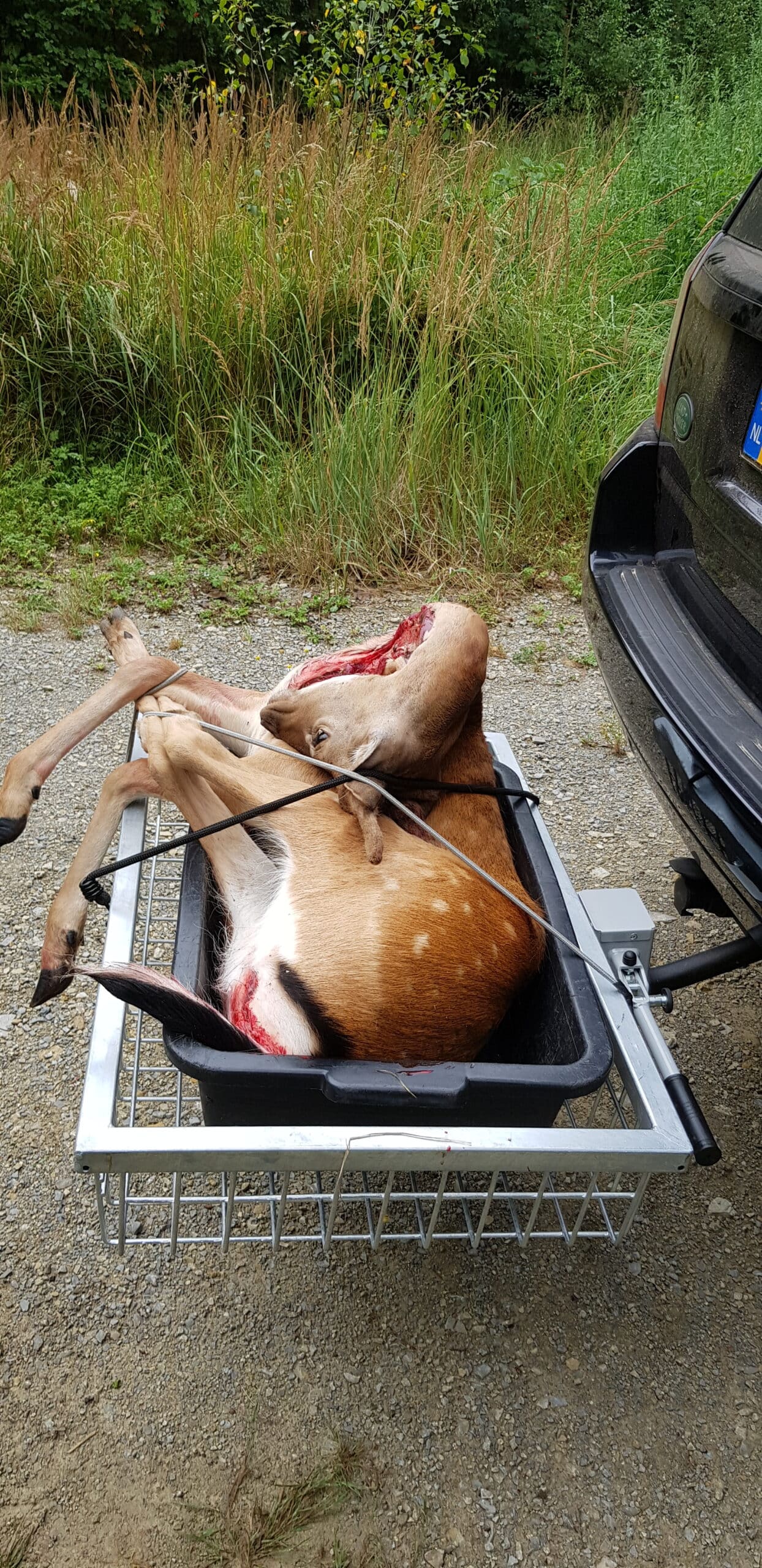 Verzinkte wilddrager met snelspan - Afbeelding 3