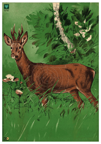 DJV Schietschijf NR1 Reebok 100 meter