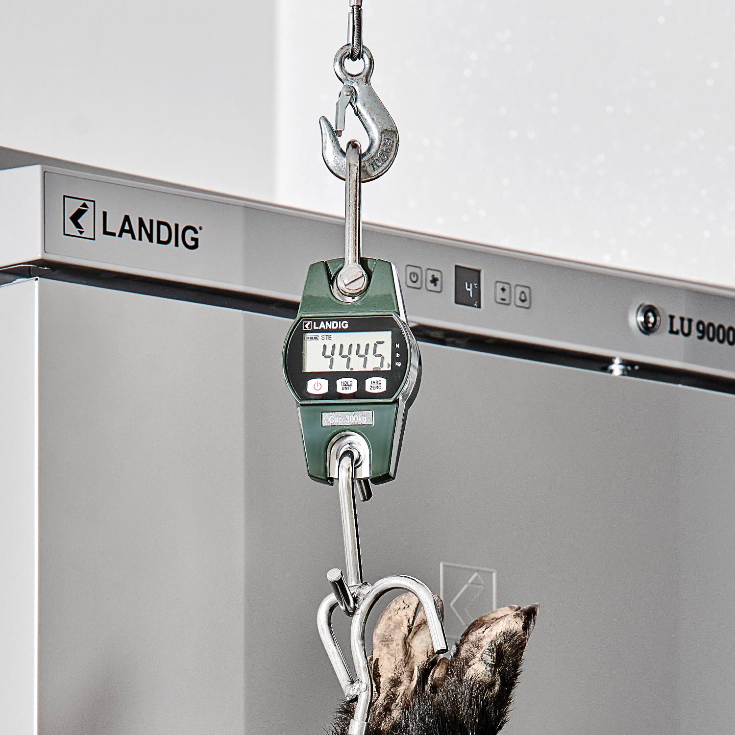 Digitale hangweegschaal 150 / 300 kg - Afbeelding 2