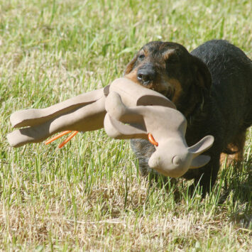 Apporteer dummy konijn