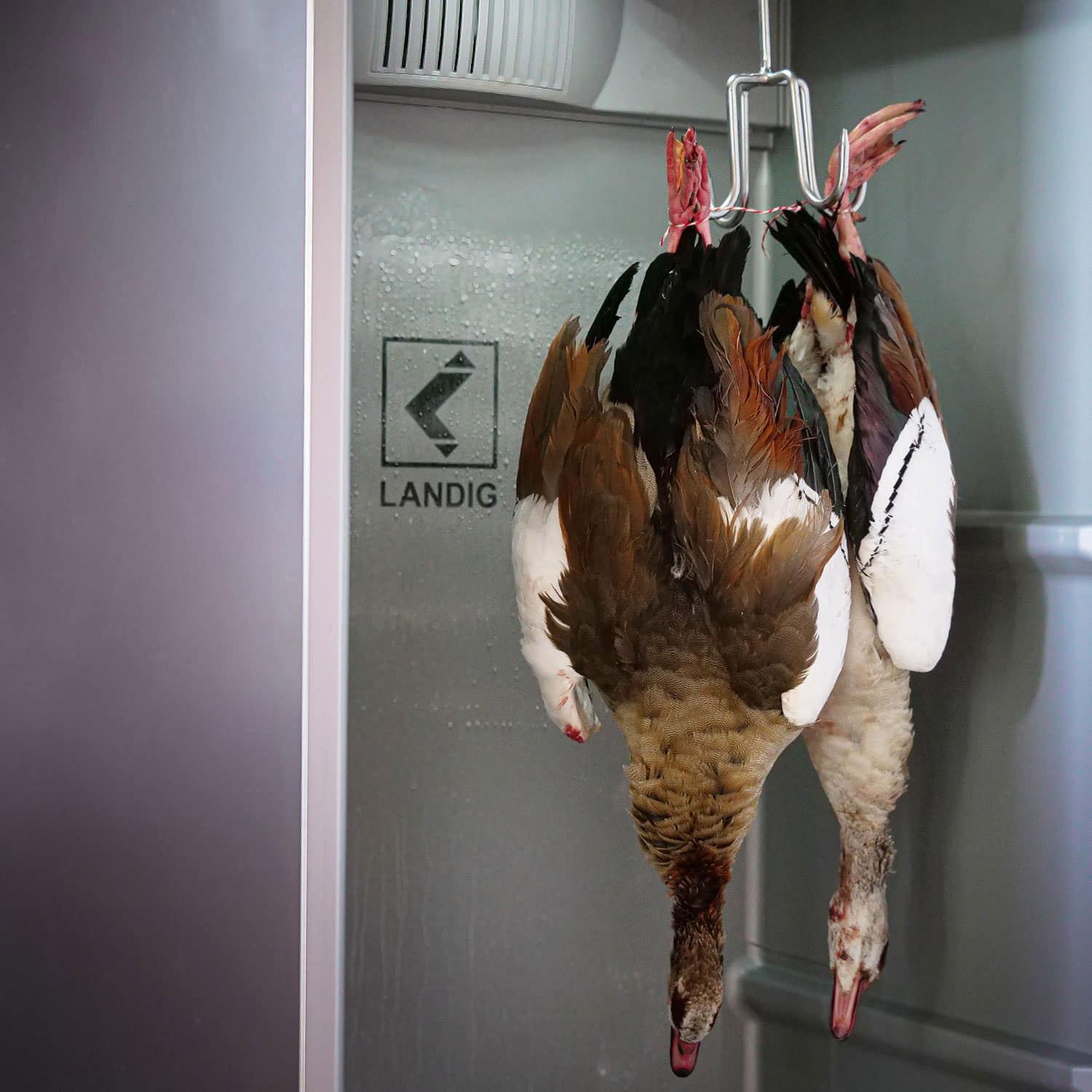 Speciale draaihaak 4-voudig - Afbeelding 4