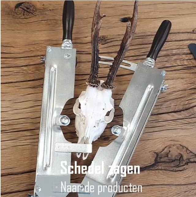 schedelzagen