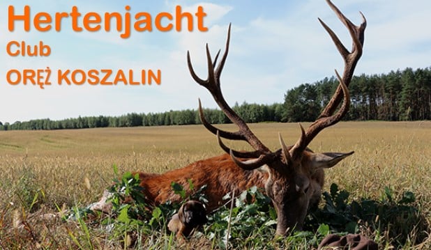 Hertenjacht club orez koszalin