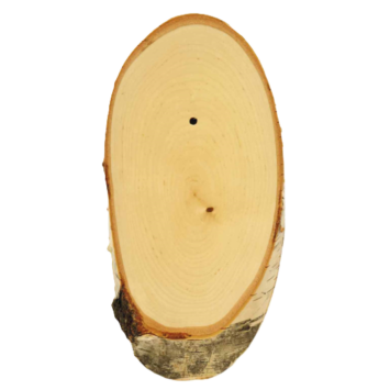 Trofeeplankje reebok berken 20 x 12 cm