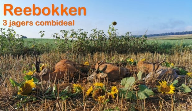 combijacht 3 jagers