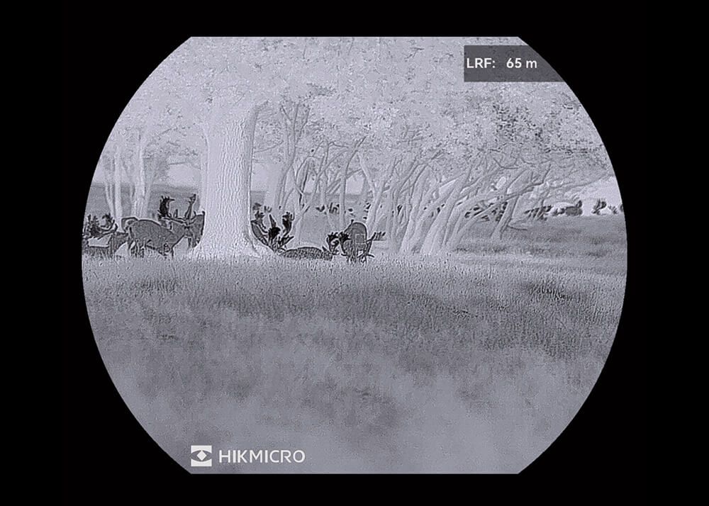 HikMicro Stellar 3.0 SQ50L - Afbeelding 12
