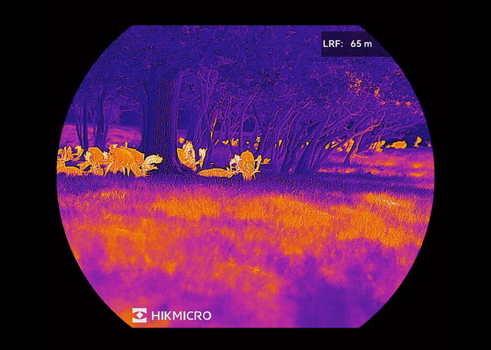 HikMicro Stellar 3.0 SQ50L - Afbeelding 13